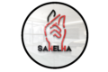 sahelha.com